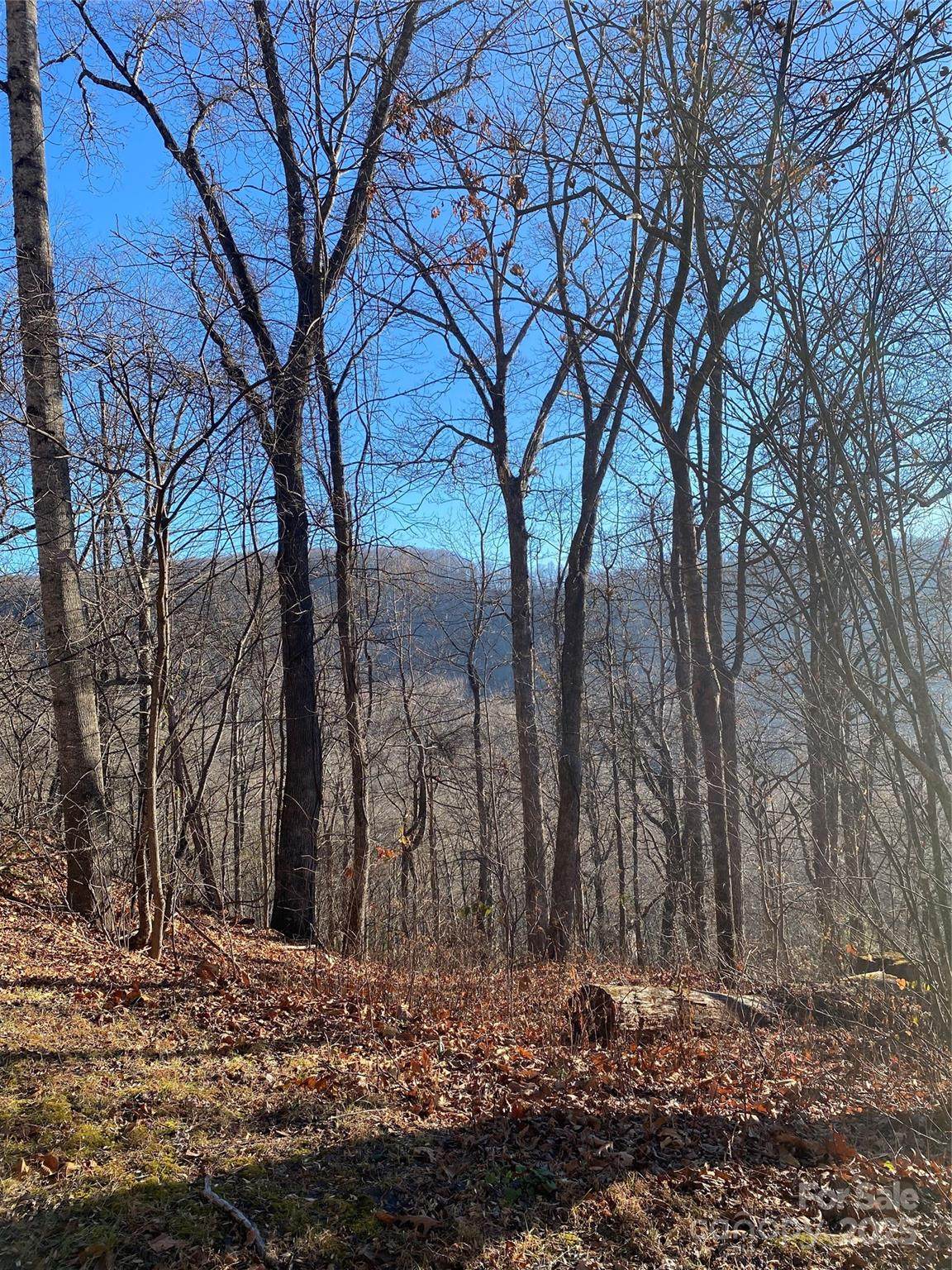 000 Wash Freeman Road - Photo 1