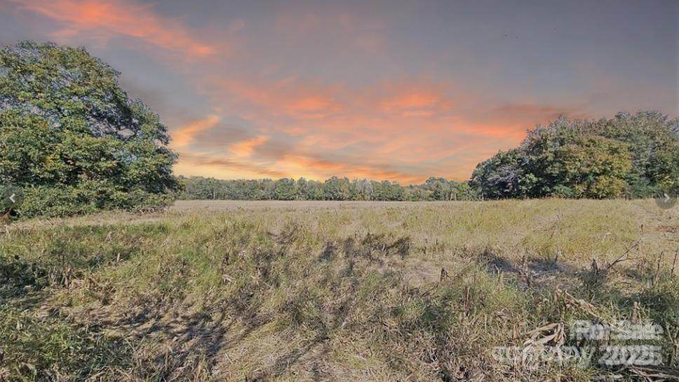 10130 Reed Mine Road - Photo 1