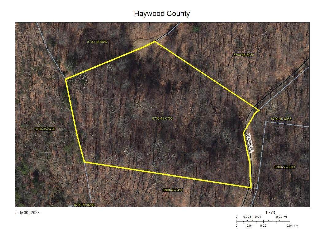 00 Yonah Trail - Photo 1