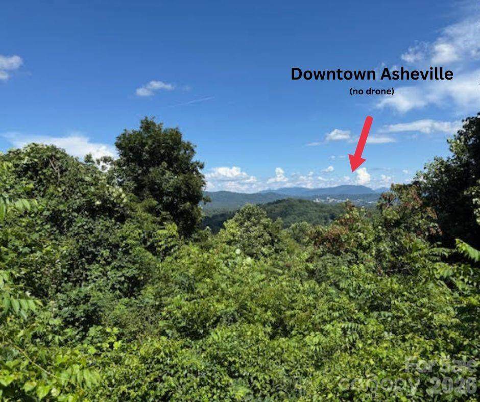 49 Ben Lippen School Road - Photo 1