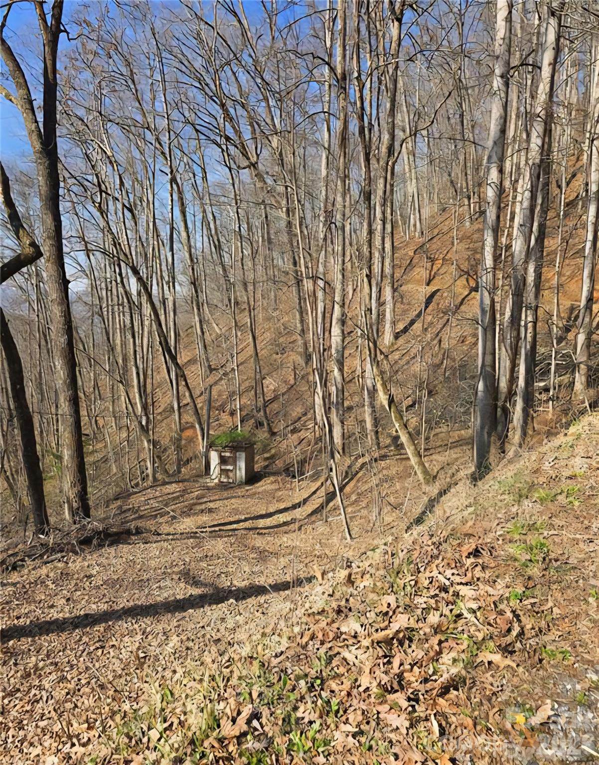 32 Black Mountain Road - Photo 1