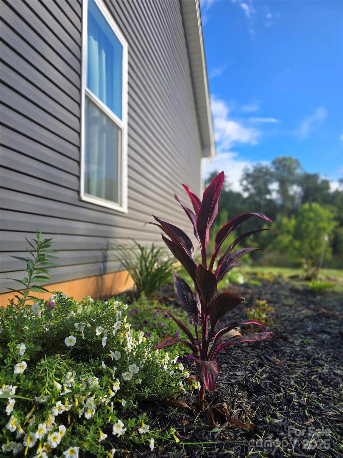 19 Higgins Road - Photo 1