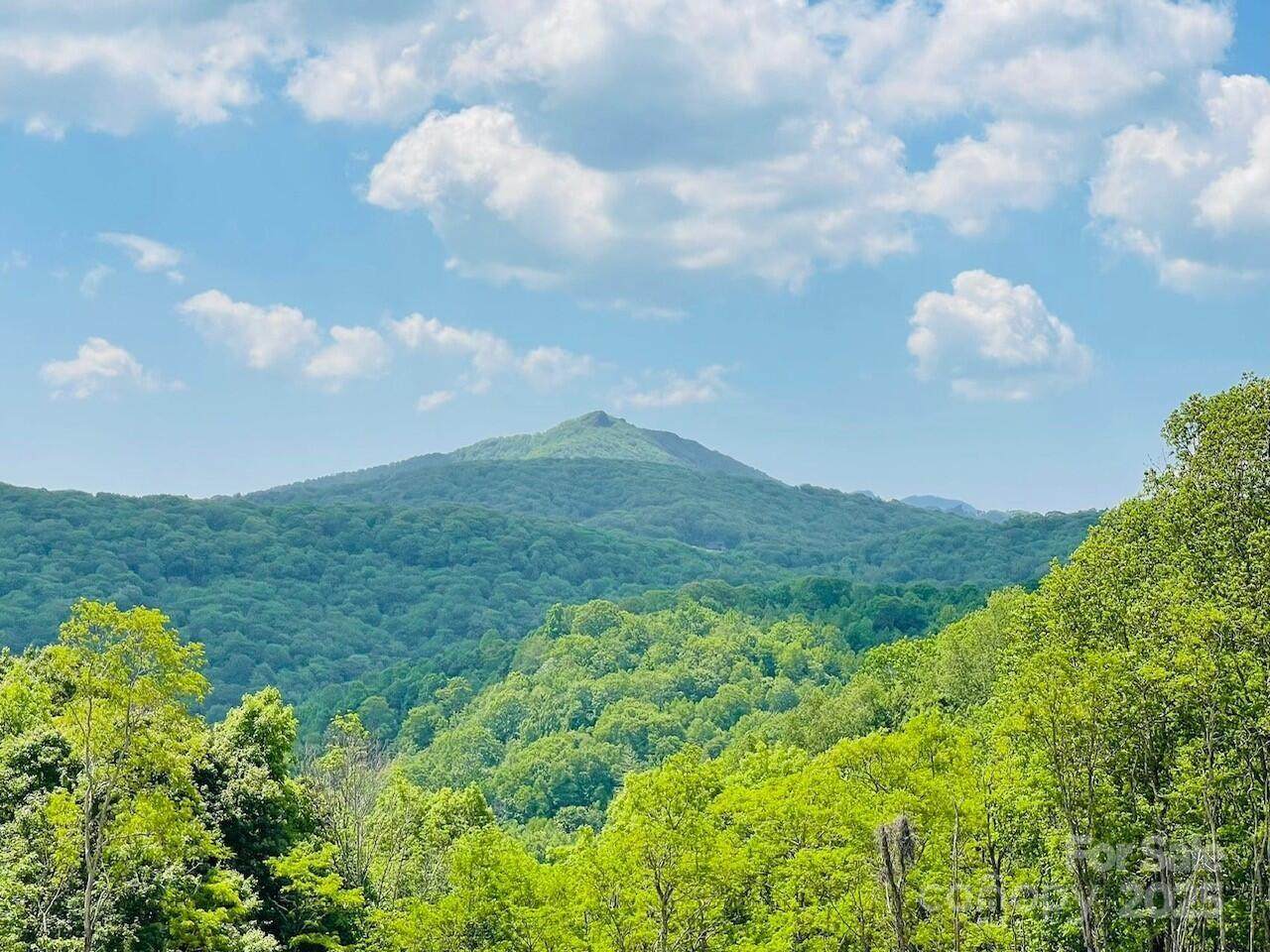 0 Lee Gualtney Road - Photo 1