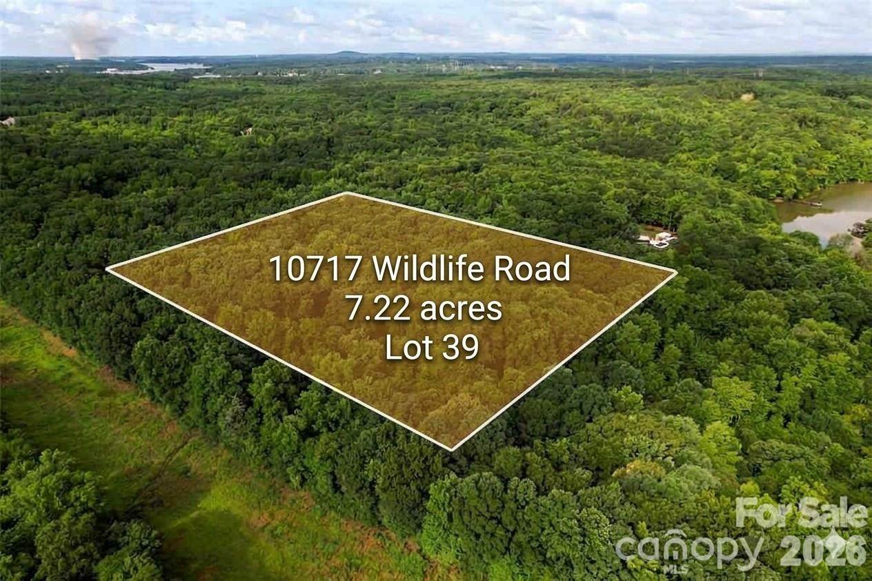 10717 Wildlife Road - Photo 1
