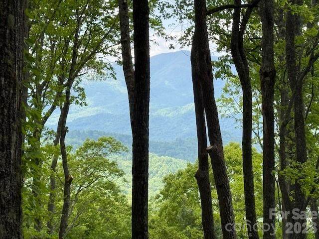 768 Boar Ridge Road - Photo 1