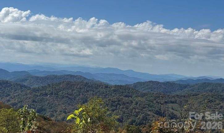 50 Scenic Wolf Ridge Road - Photo 1