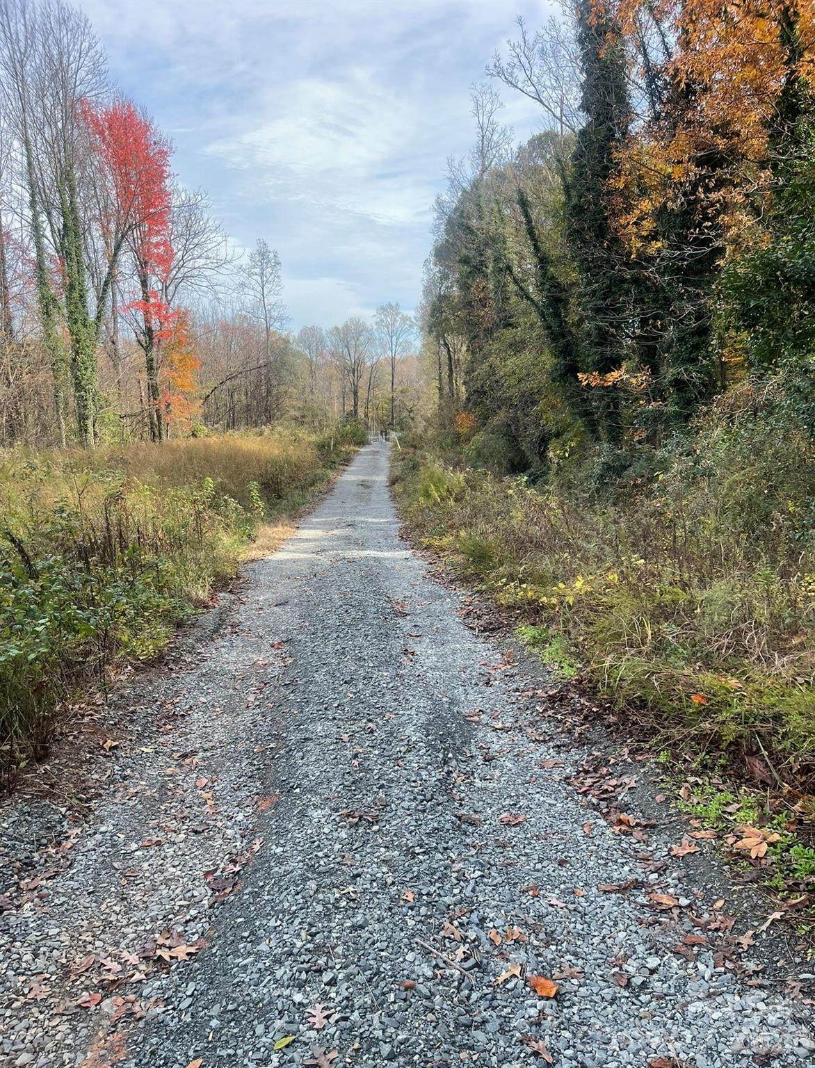 2019 C Avenue - Photo 1