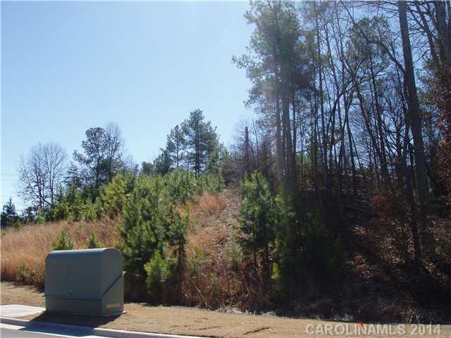 3114 Charlotte Highway - Photo 1