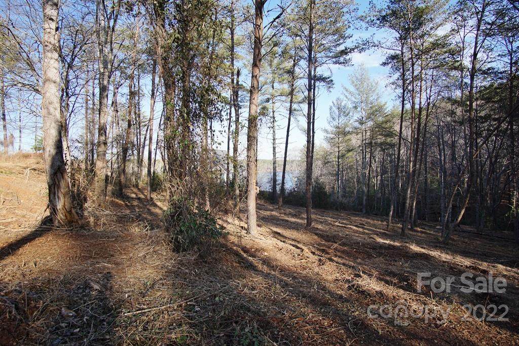 3492 Peninsula Pointe Drive - Photo 1