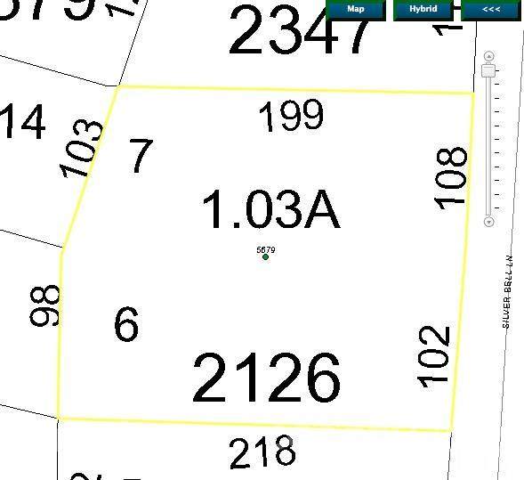 5679 Silverbell Lane - Photo 1