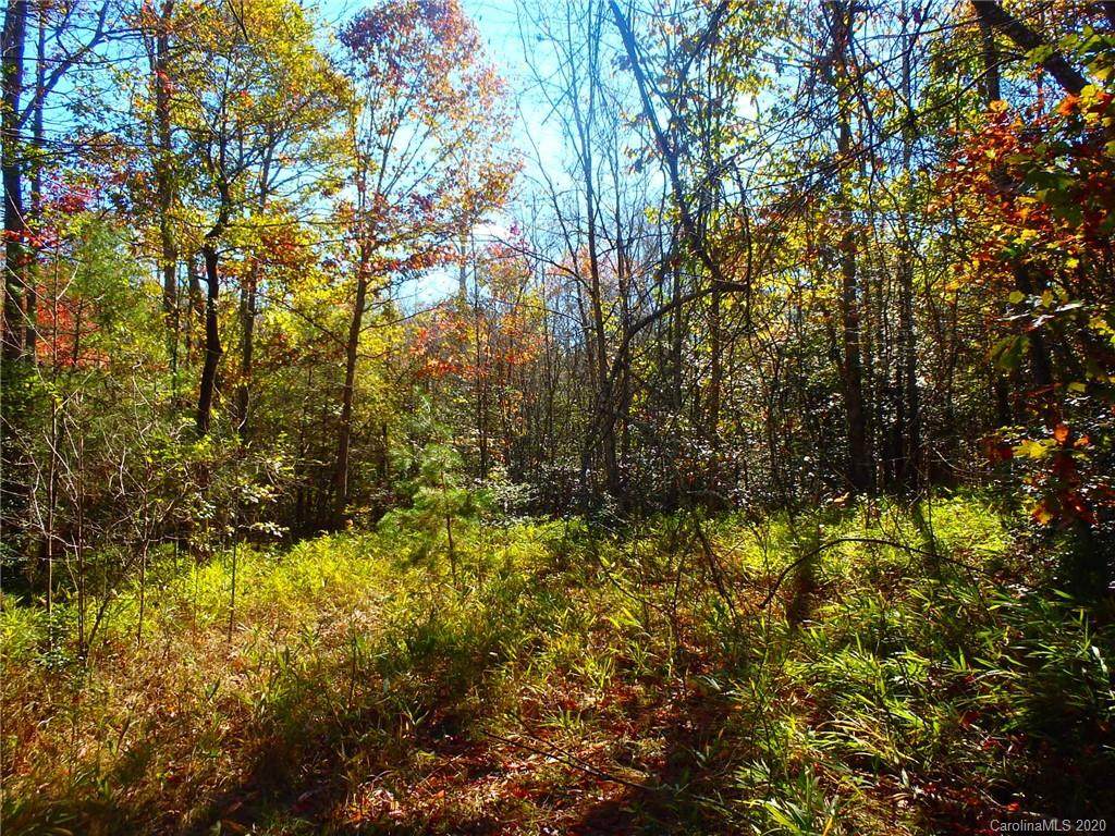 8836 Jacob Fork River Road - Photo 1