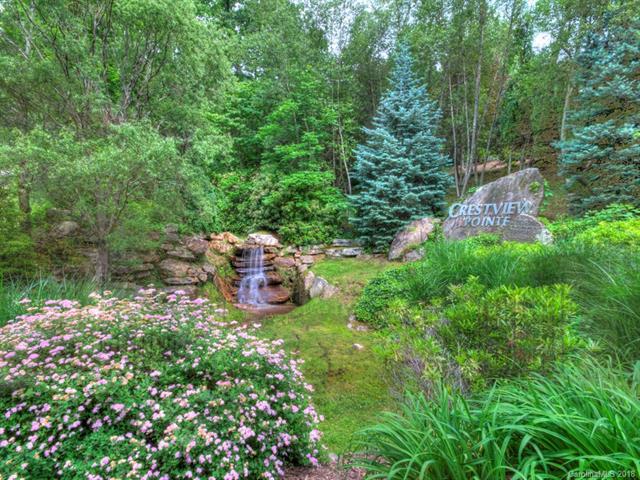 LOT 61 Twisted Trail - Photo 1