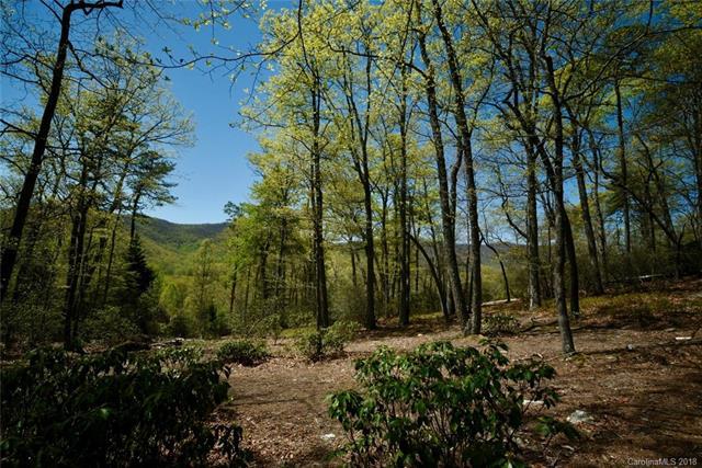 1918 Tree View Trail - Photo 1
