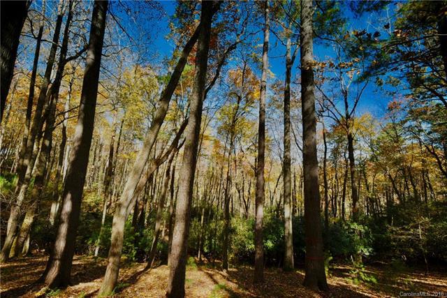 59 Misty Valley Parkway - Photo 1