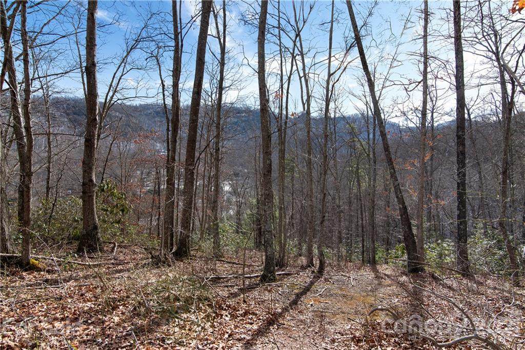 00 Mauney Cove Road - Photo 1