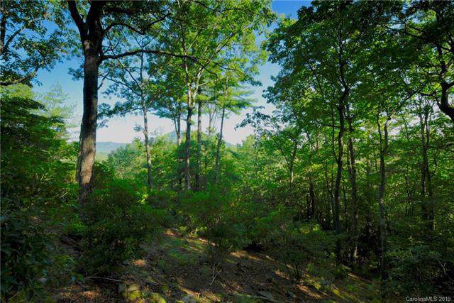81 Misty Valley Parkway - Photo 1
