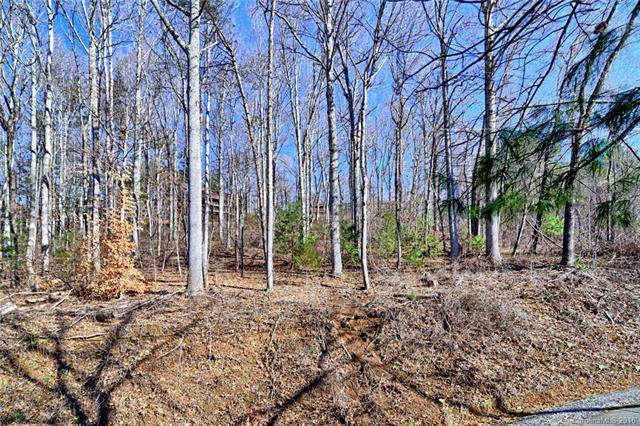 110 Buffalo Trail - Photo 1
