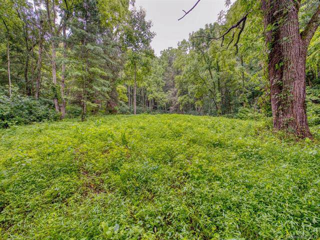 Lot 2 Mary Ruth Way - Photo 1