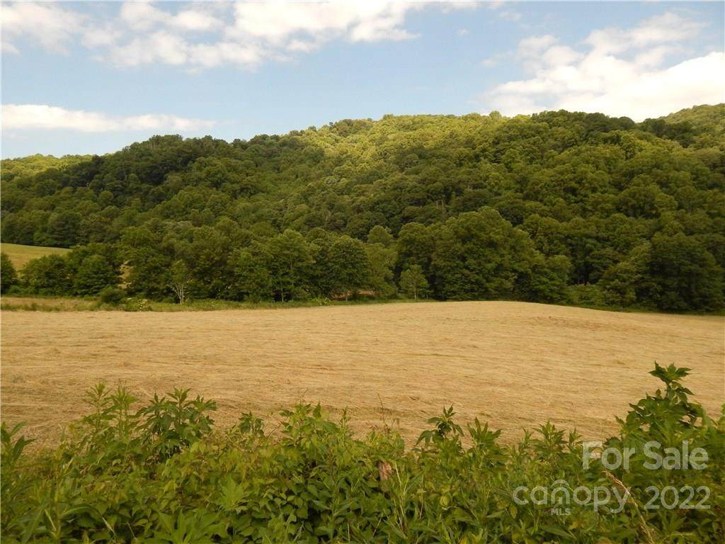 0 Nc 209 Highway - Photo 1