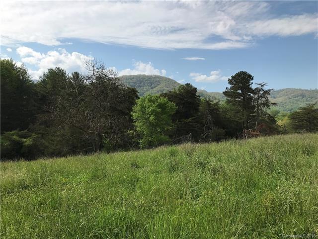 4150 Thickety Road - Photo 1