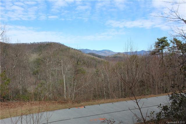 Lot 204 Catawba Falls Parkway - Photo 1