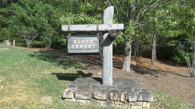 1800 Black Forest Drive - Photo 1