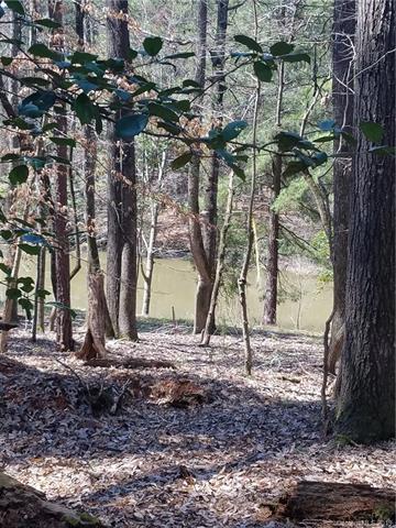 Lot 36 Fern Drive - Photo 1
