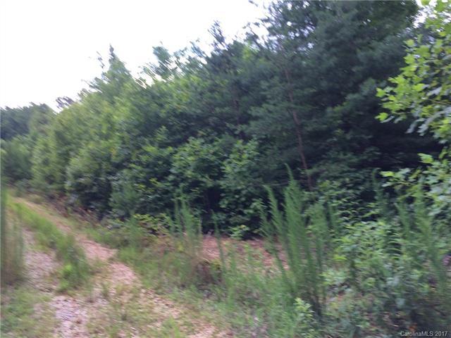 Lot 35 Cliff Trail - Photo 1