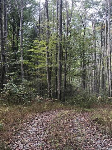 149 -0 Gentry Road - Photo 1