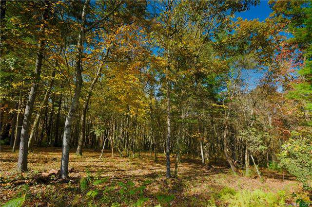 27 Deep Creek Trail - Photo 1