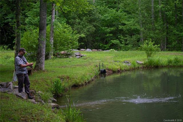 88888 Sand Branch Road - Photo 1