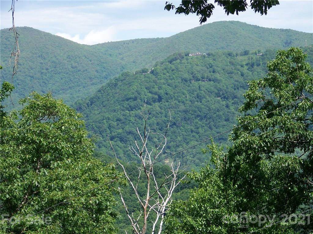 00 Old Crow Road - Photo 1