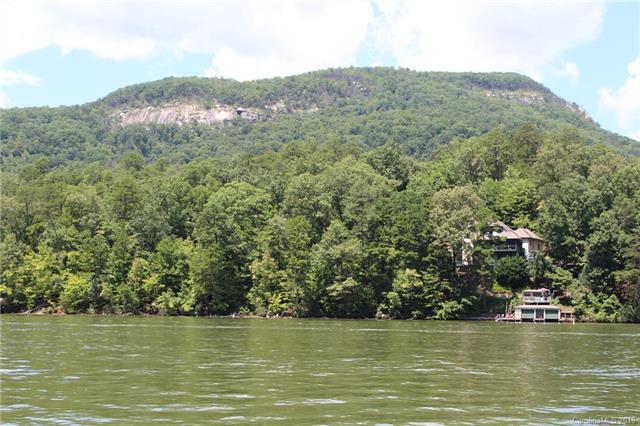 Lot 21 Buffalo Shoals Road - Photo 1