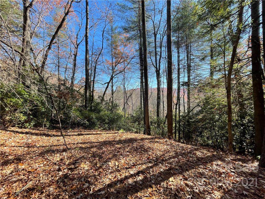 128 Twisted Tree Lane - Photo 1