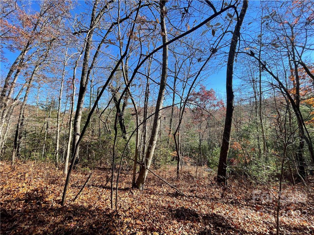 117 Green Hollow Lane - Photo 1