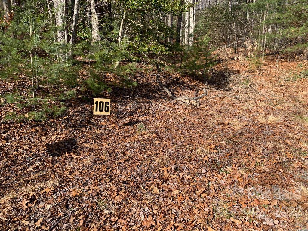 106 Green Hollow Lane - Photo 1