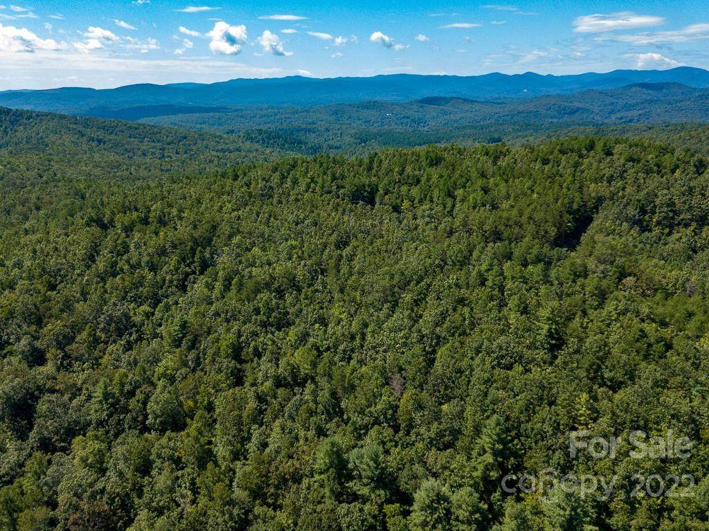 4027 Skyline Drive - Photo 1