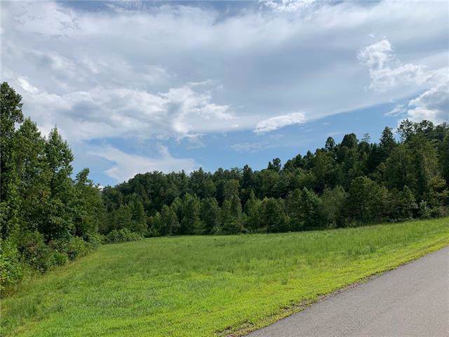 Lot 817 Low Country Road - Photo 1
