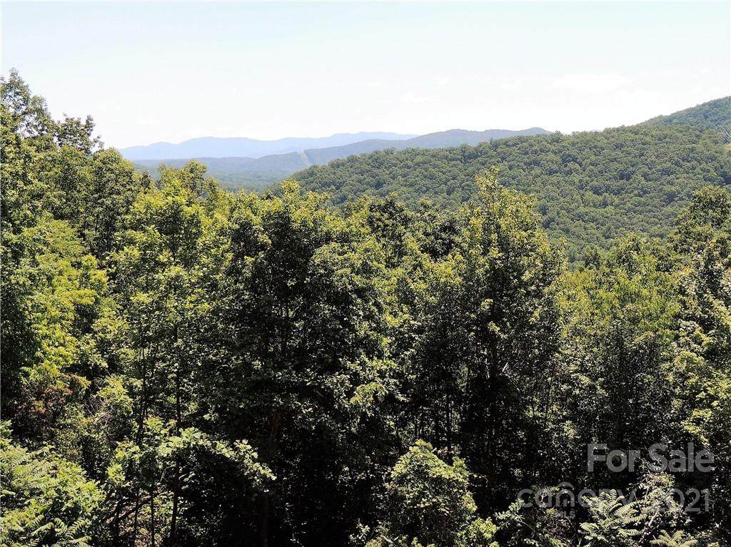 0 Mountain Crest Drive - Photo 1