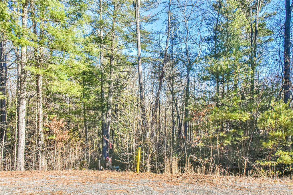 29 Buffalo Creek Drive - Photo 1