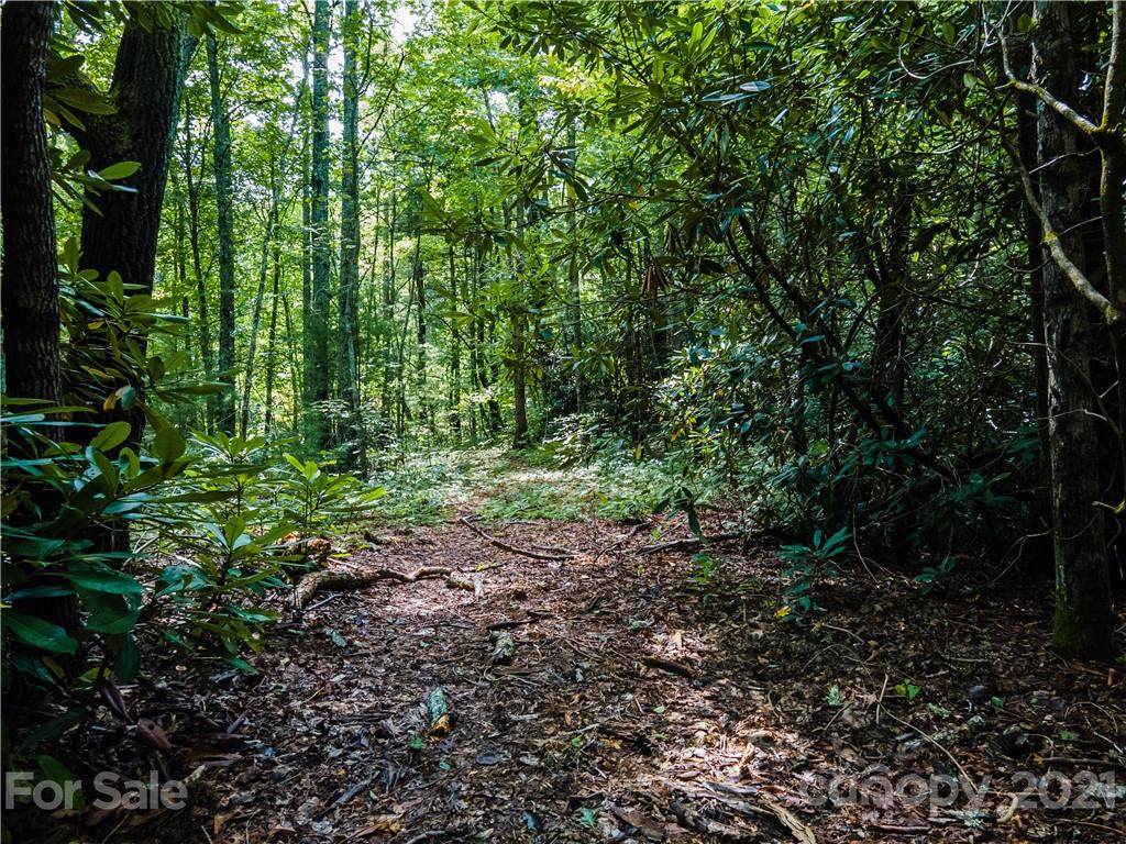 0000 Shadow Ridge Drive - Photo 1