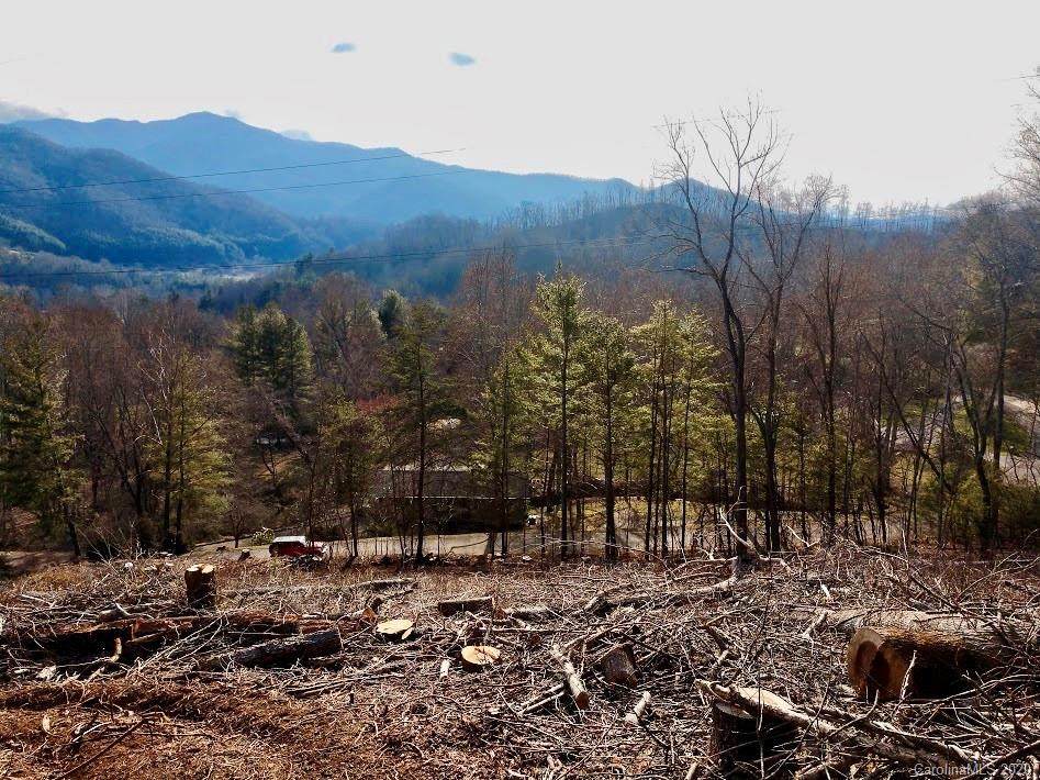 Lot 1 Off Carriage Lane - Photo 1