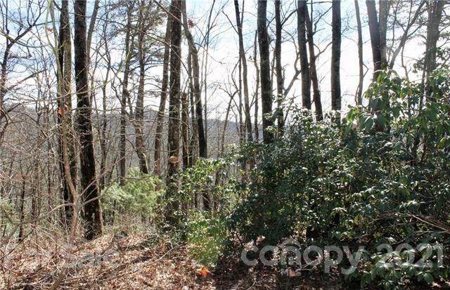 TBD East View Road - Photo 1
