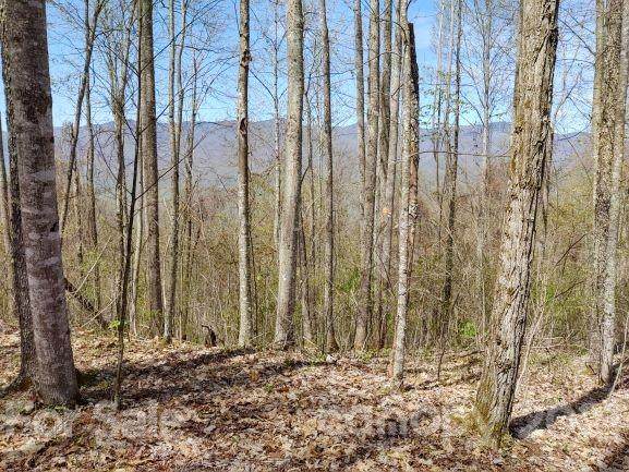 406 High Line Road - Photo 1