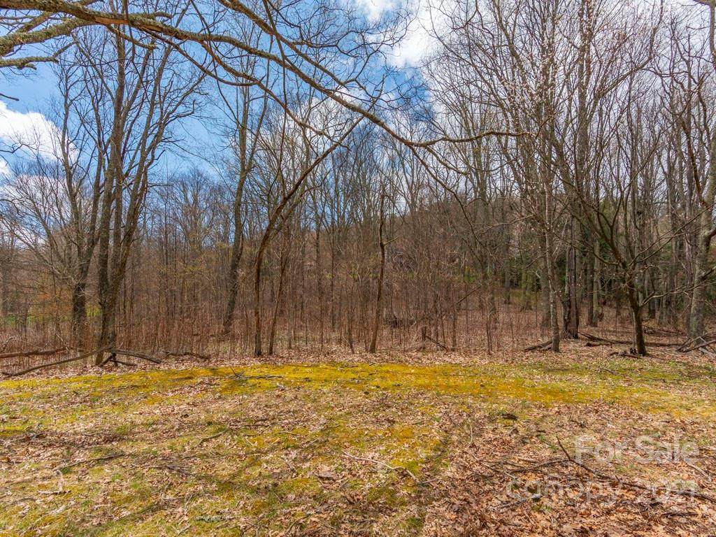 Lots 5 & 7 Eagle View Circle - Photo 1