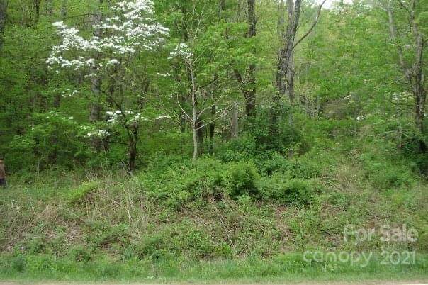 99999 Tanasee Gap Road - Photo 1