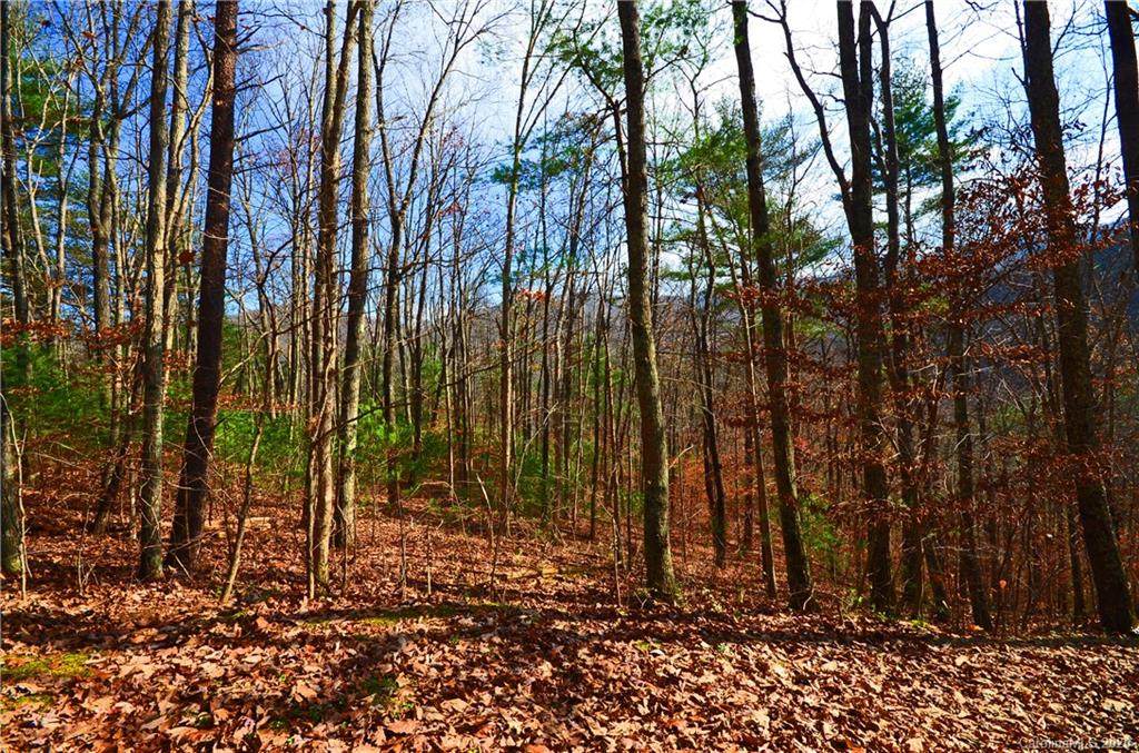 00 Windago Road - Photo 1