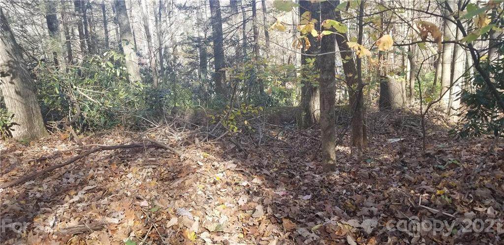 Lot C31 Shady Lane - Photo 1