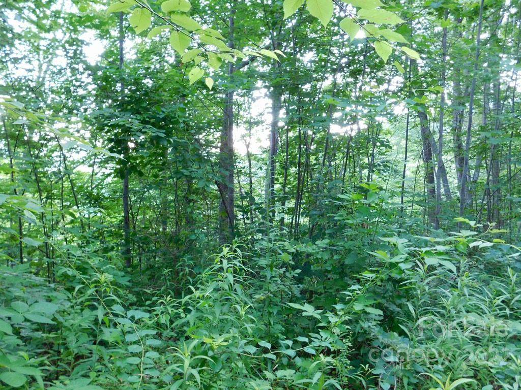 00 Edna Trace - Photo 1