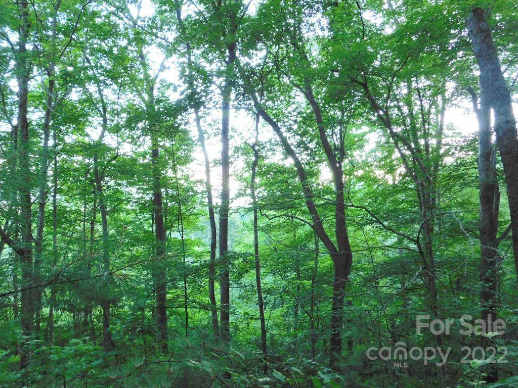 00 Edna Trace - Photo 1